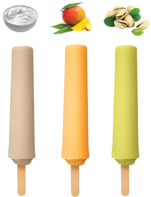 Kulfi Ice cream ( malai or mango or pistachio)